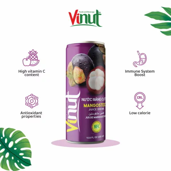 Vietnamese Fruits: 15 Tasty Fruits of Vietnam 6 10.8 fl oz Vinut Mangosteen Juice drink 30 Juice 2