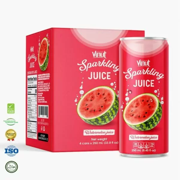 The Top 10 Best Healthy Juice for Health 46 Watermelon Juice