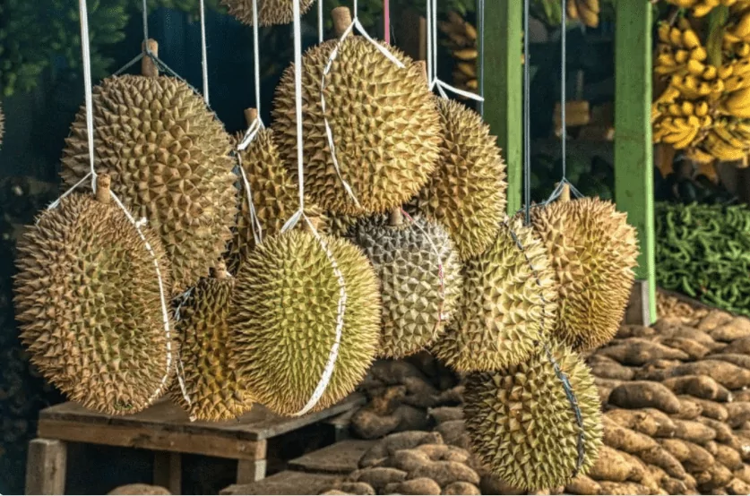 Durian Durian