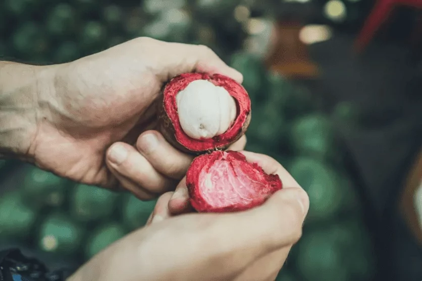 How to Eat Mangosteen How to Eat Mangosteen