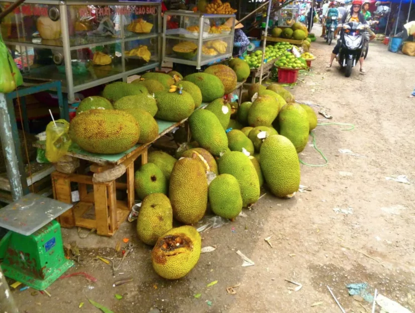 Jackfruit on the market counter in Mekong Delta, Vietnam Jackfruit on the market counter in Mekong Delta Vietnam