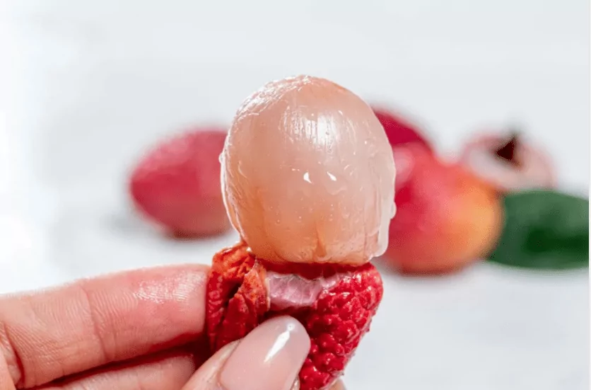 Lychee fruit pulp without peel in a woman’s hand Lychee fruit pulp without peel in a womans hand