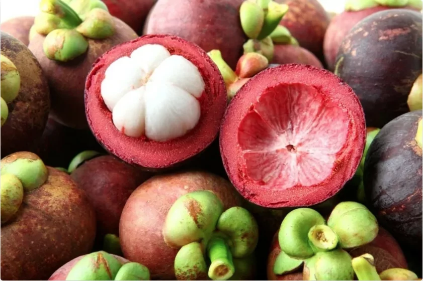 Mangosteen Mangosteen