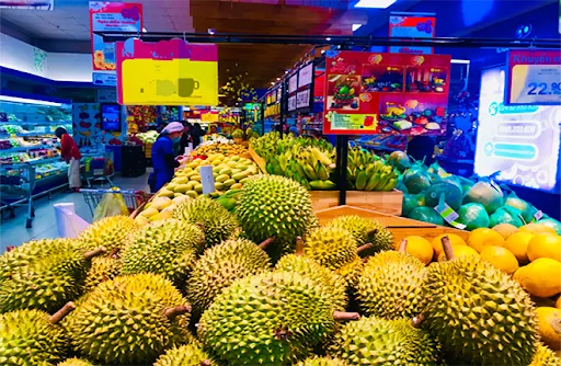 vietnamese_durians vietnamese durians