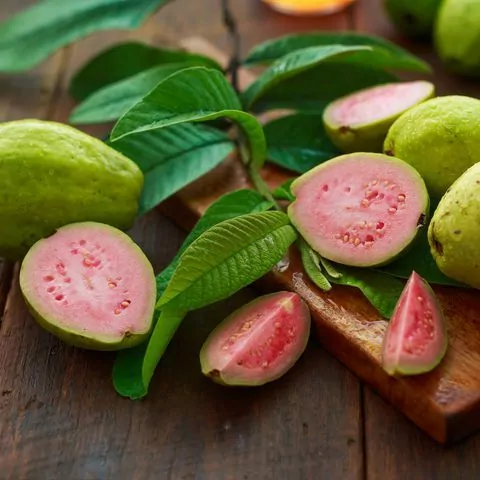 Guava Fruit Guava Fruit