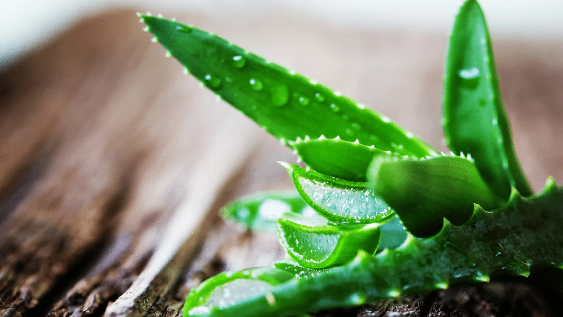 2023 Guide The Healthy Benefits of Drinking Aloe Vera Juice 2023 Guide The Healthy Benefits of Drinking Aloe Vera Juice
