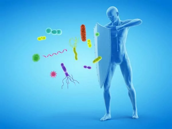 Immune system support Immune system support