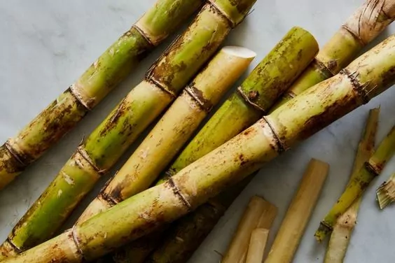 Sugarcane Sugarcane