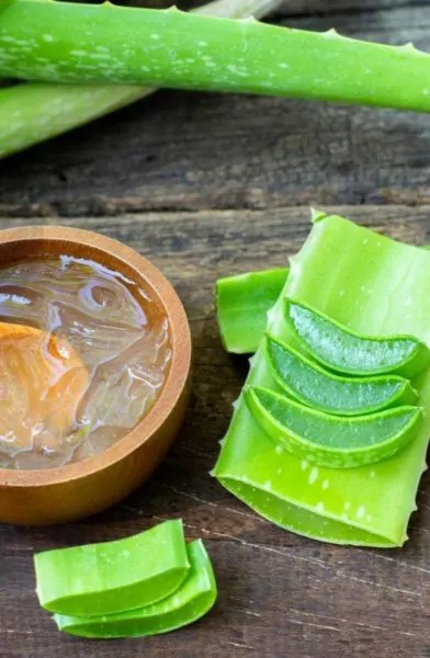 Aloe vera Aloe vera