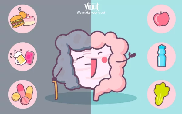 VINUT_Digestive Health VINUT_Digestive Health