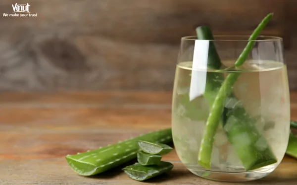 VINUT_Aloe vera juice is known for its potential digestive benefits VINUT_Aloe vera juice is known for its potential digestive benefits