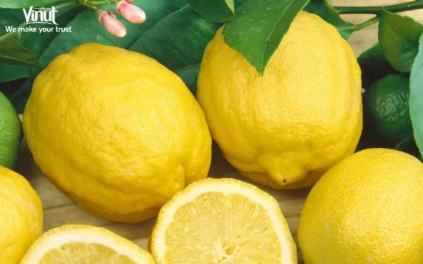 VINUT_Eureka Lemon VINUT_Eureka Lemon
