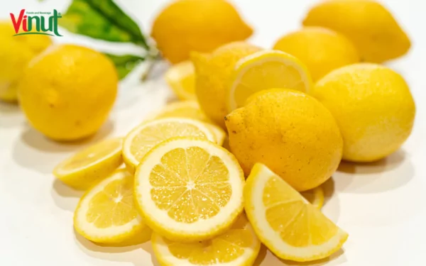 VINUT_lisbon lemon VINUT_lisbon lemon