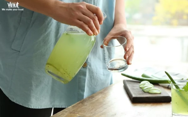 VINUT_Who Should Drink Aloe Vera Juice? VINUT_Who Should Drink Aloe Vera Juice?