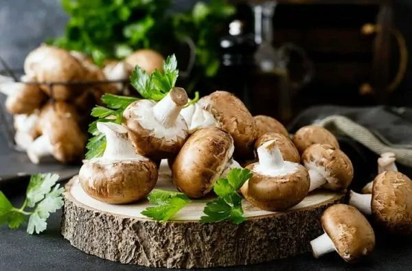 Mushroom