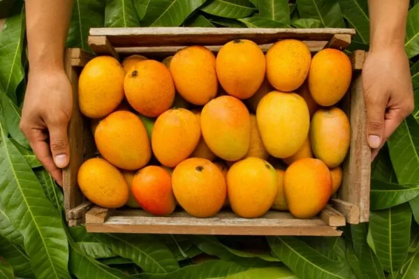 Ripe Fruits