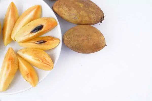 Sapodilla