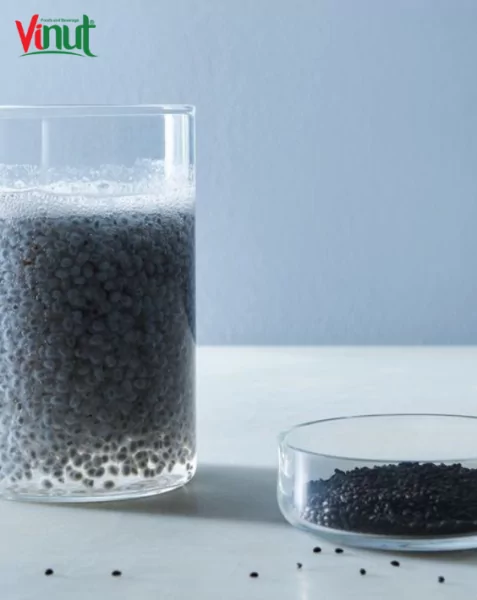 VINUT_What Are Basil Seeds?