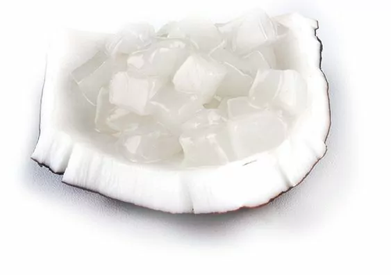 Nata de Coco Nata de Coco