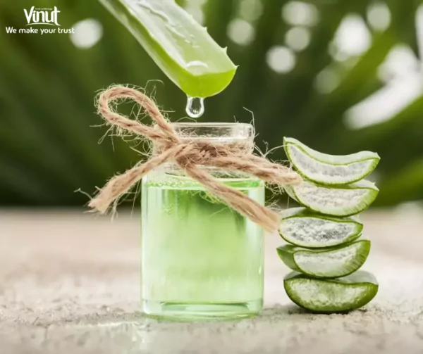 VINUT_Step-by-step guide on how to make aloe vera juice VINUT_Step-by-step guide on how to make aloe vera juice