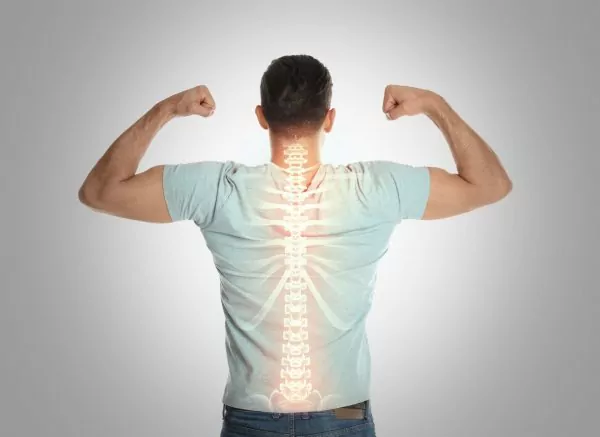 Strengthens Bones and Teeth Strengthens Bones and Teeth