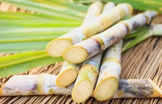 Many Heath Benefits Many Heath Benefits