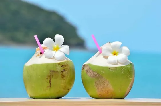Coconut