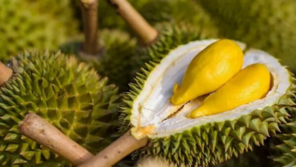 Durian