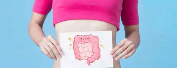 Healthy Digestive Healthy Digestive