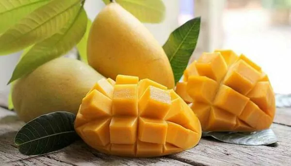 Mango