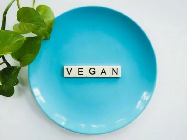 Vegetarian-friendly