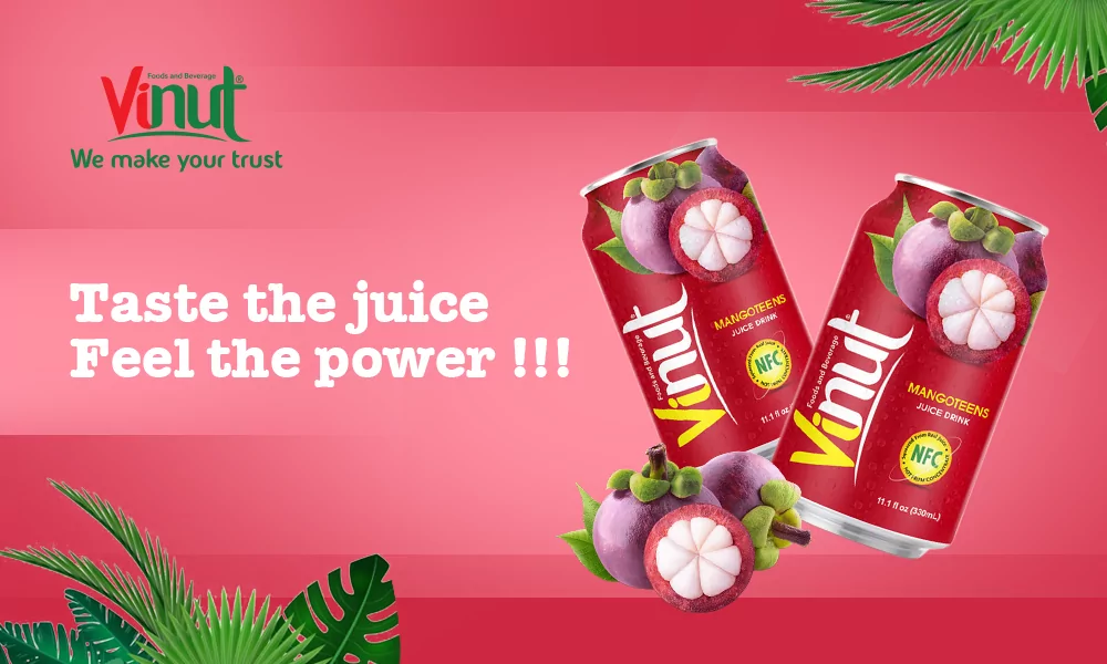 VINUT Mangosteen Juice Drink VINUT Mangosteen Juice Drink