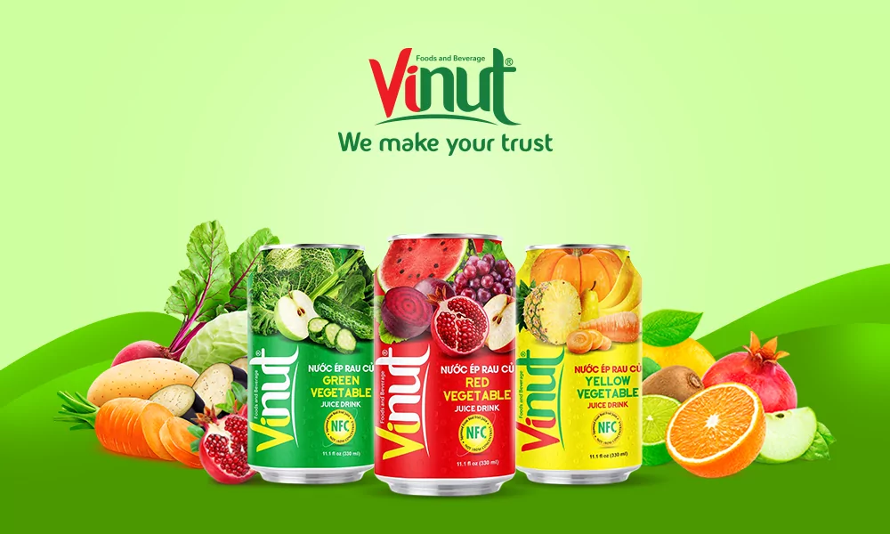 6 Wonderful Benefits of Vegetable Juice 9 VINUT Vegetable Juice