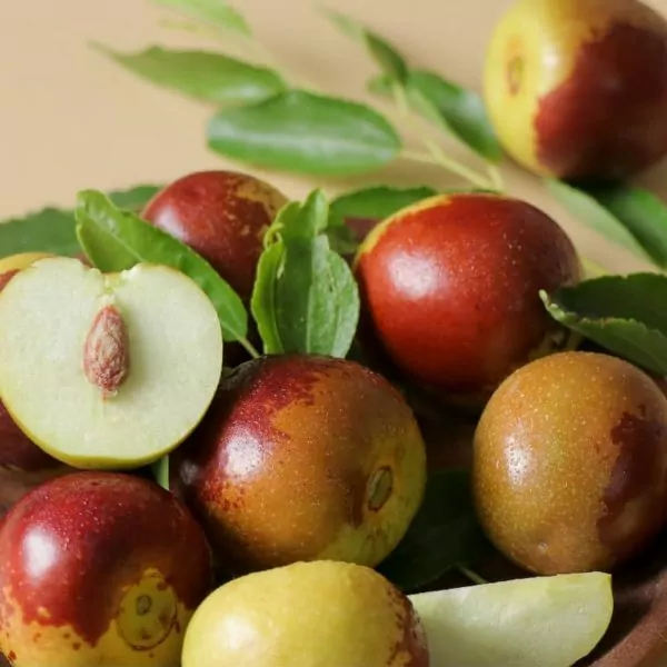 Jujube is high in fiber but low in calories Jujube is high in fiber but low in calories