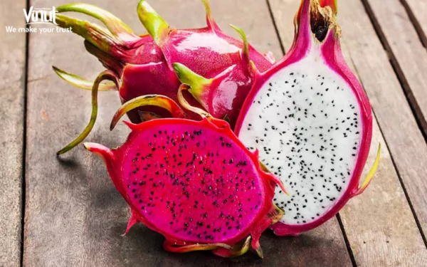 VINUT_What is Dragon Fruit?