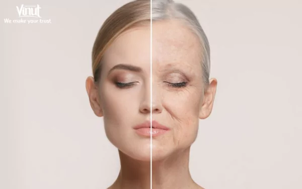 VINUT_Antioxidant Properties VINUT_Antioxidant Properties