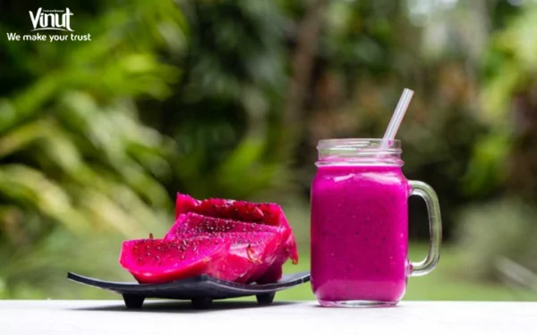 VINUT_Dragon Fruit Smoothie