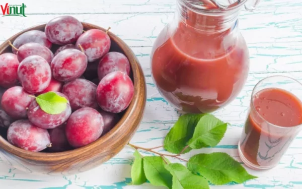 VINUT_How to Make Prune Juice at Home? VINUT_How to Make Prune Juice at Home?