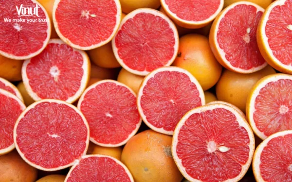 VINUT_What Is Grapefruit?