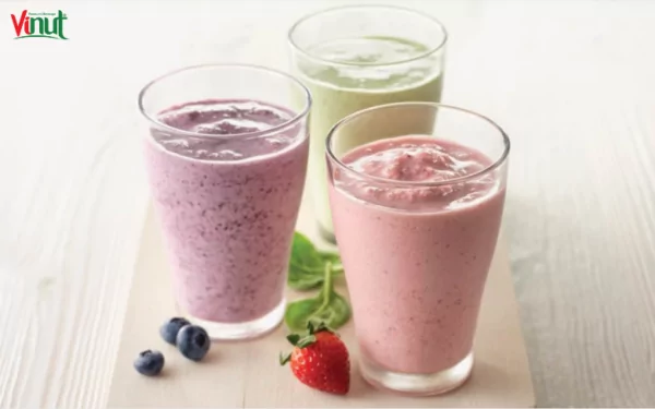 VINUT_Protein Shakes
