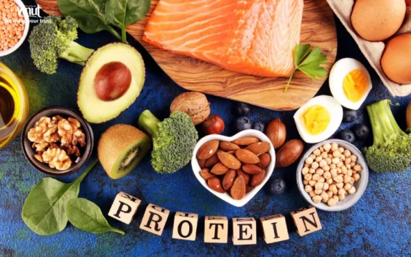 VINUT_Protein
