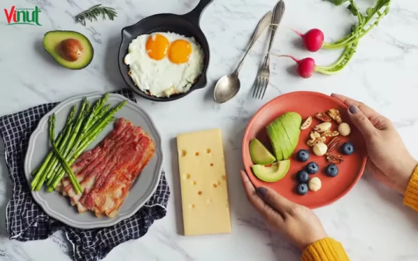 VINUT_What Is Ketogenic Diet? VINUT_What Is Ketogenic Diet?