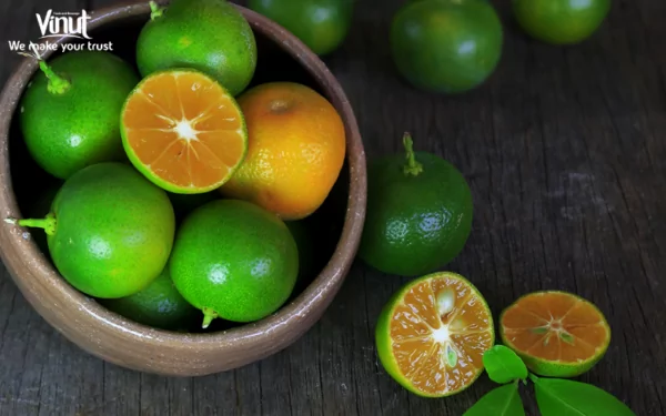 VINUT_Ingredients