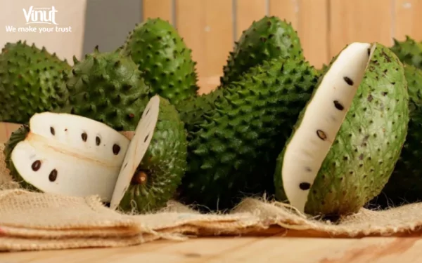 VINUT_ Soursop VINUT_ Soursop