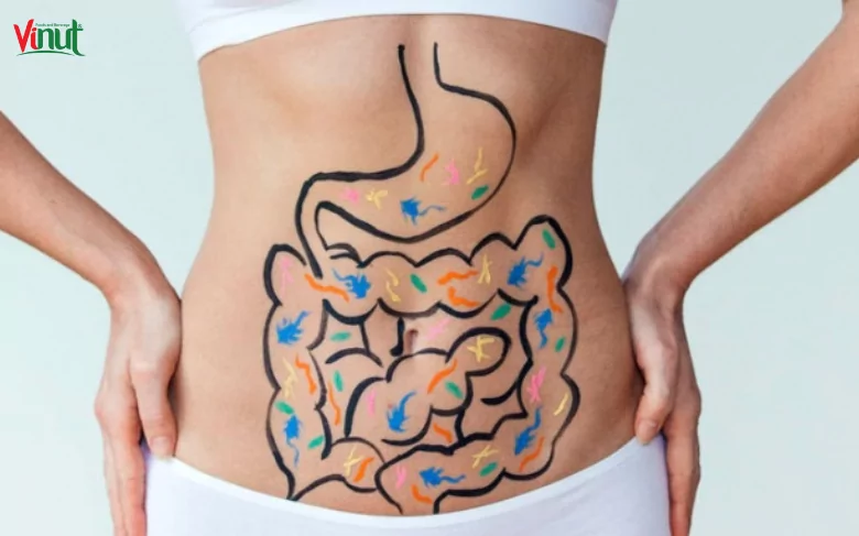 VINUT_Digestive Relief: How Bael Juice Aids Digestion