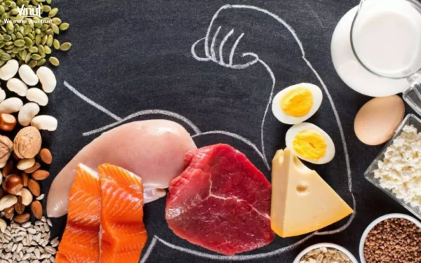 VINUT_Understanding Protein and Its Importance