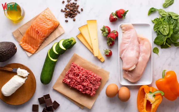VINUT_Ketogenic Diet VINUT_Ketogenic Diet