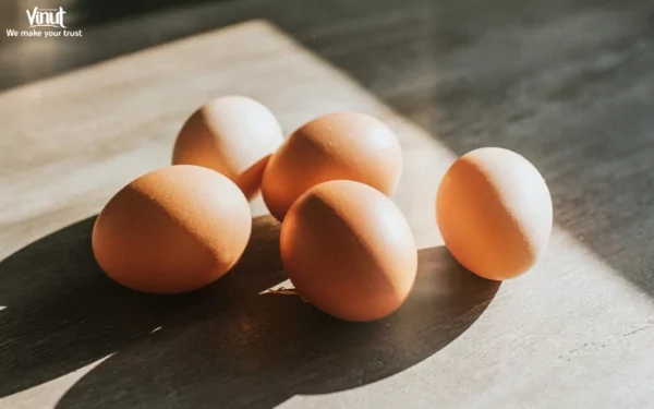 VINUT_Eggs