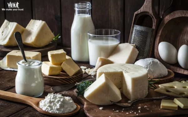 VINUT_Dairy Products