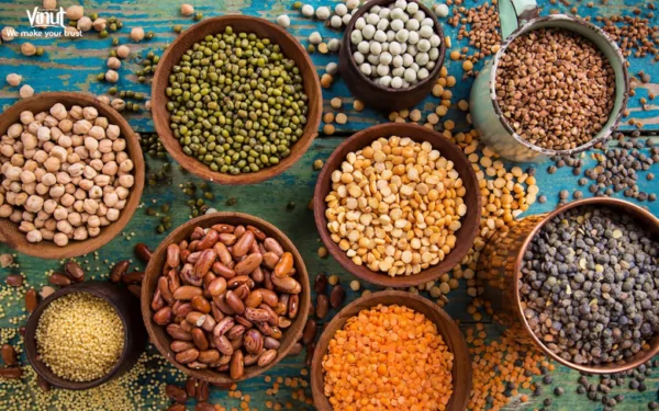 VINUT_Legumes
